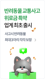 반려동물 교통사고 위로금 특약 업계 최초 출시 사고시 반려동물 최대 3마리 각각 보장
