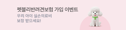 우리 아이 실손 의료비 보장해주는 펫블리반려견보험 가입하세요