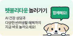 펫블리타운 놀러가기 AI 건강 상담과 다양한 반려생활 혜택까지 지금 바로 놀러오세요!